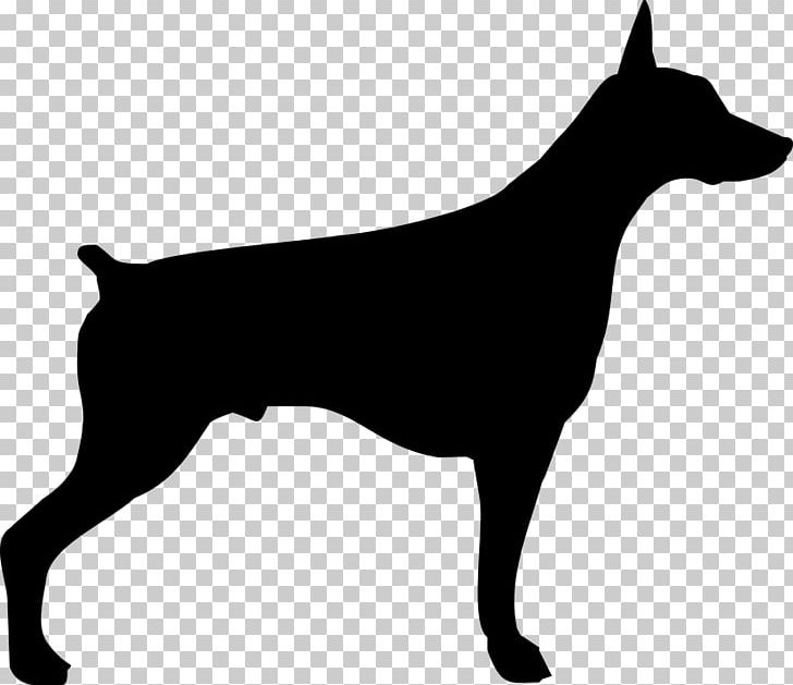 Dobermann German Pinscher Miniature Pinscher Puppy Rottweiler PNG, Clipart, Animal, Black And White, Carnivoran, Dobermann, Dog Free PNG Download