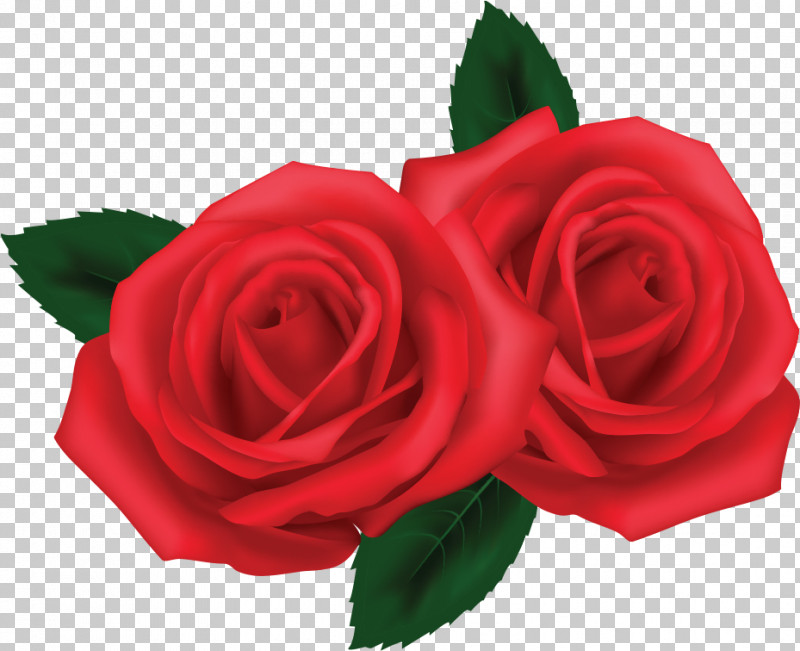 Two Flowers Two Roses Valentines Day PNG, Clipart, Artificial Flower, Bouquet, Cut Flowers, Floribunda, Flower Free PNG Download