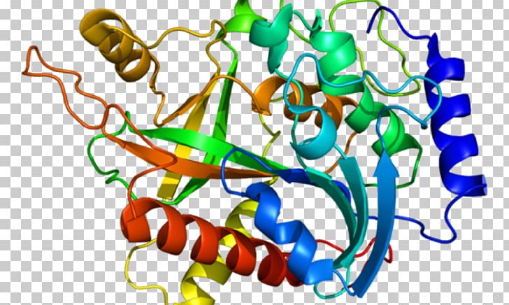 C1GALT1 Protein Research Market Analysis PNG, Clipart, Analysis, Area, Artwork, Behavior, Film Free PNG Download