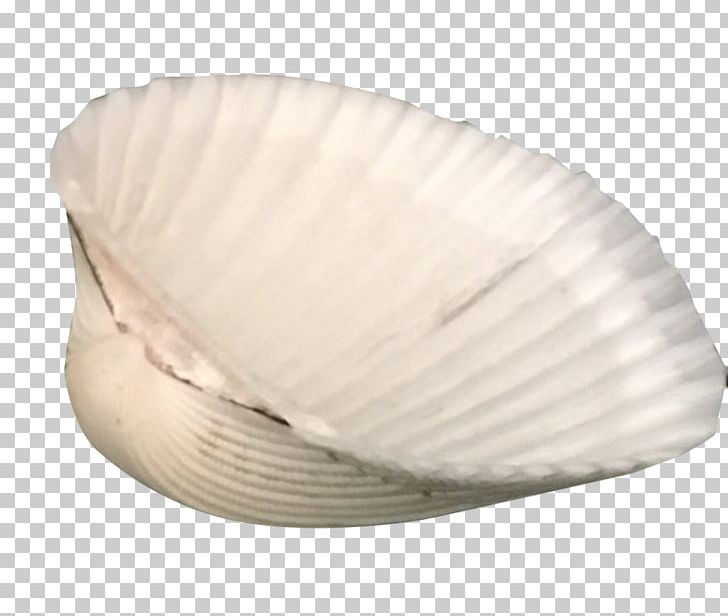 Clam Cockle Mussel Oyster Seashell PNG, Clipart, Animals, Clam, Clams Oysters Mussels And Scallops, Cockle, Mussel Free PNG Download