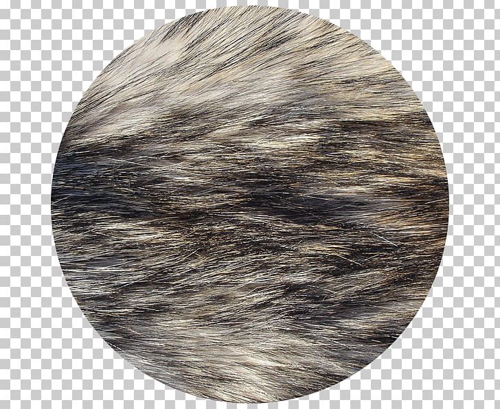 Dog Fur Texture Mapping Arctic Fox PNG, Clipart, Animal, Animals, Arctic Fox, Arctic Wolf, Black Wolf Free PNG Download