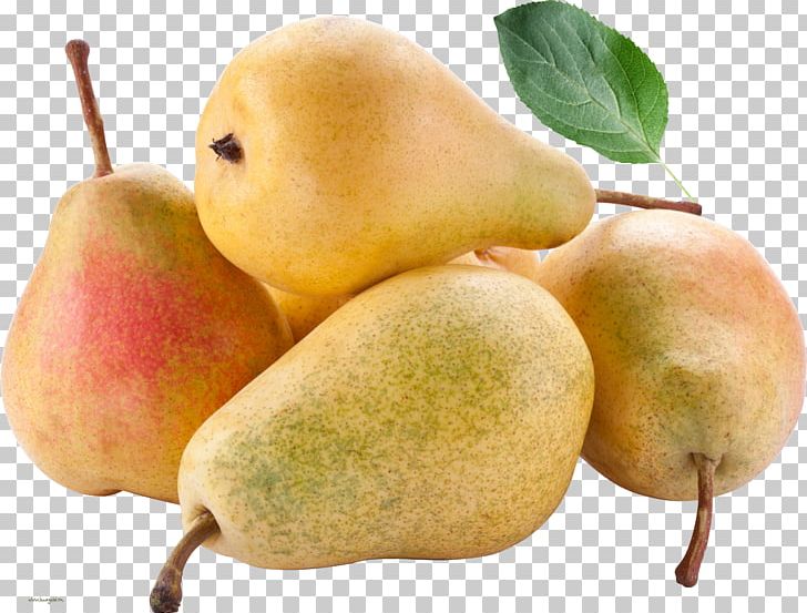 Pear Desktop 1080p IPhone 7 Laptop PNG, Clipart, 1080p, Animals, Apple, Banana, Beaver Free PNG Download