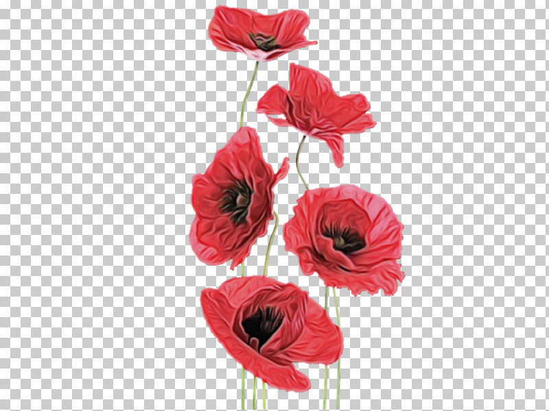 Artificial Flower PNG, Clipart, Anemone, Artificial Flower, Bouquet, Coquelicot, Corn Poppy Free PNG Download