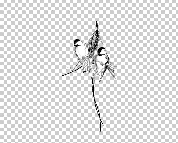 Bird Flight Black And White Eurasian Tree Sparrow PNG, Clipart, Animal, Animals, Bird, Birds, Black Free PNG Download