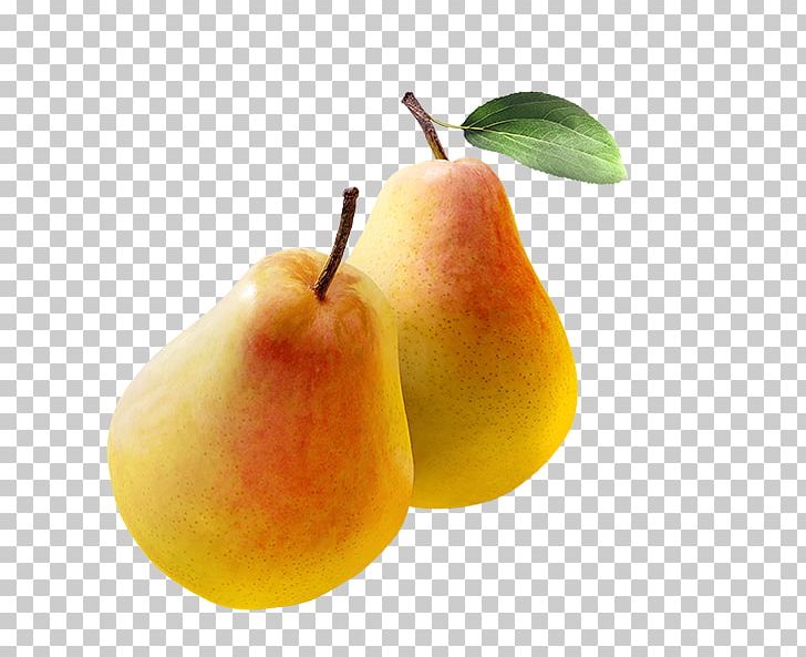 Bosc Pear Williams Pear Asian Pear Crisp Clapps Favourite PNG, Clipart, Apple, Asian Pear, Bosc Pear, Clapps Favourite, Crisp Free PNG Download