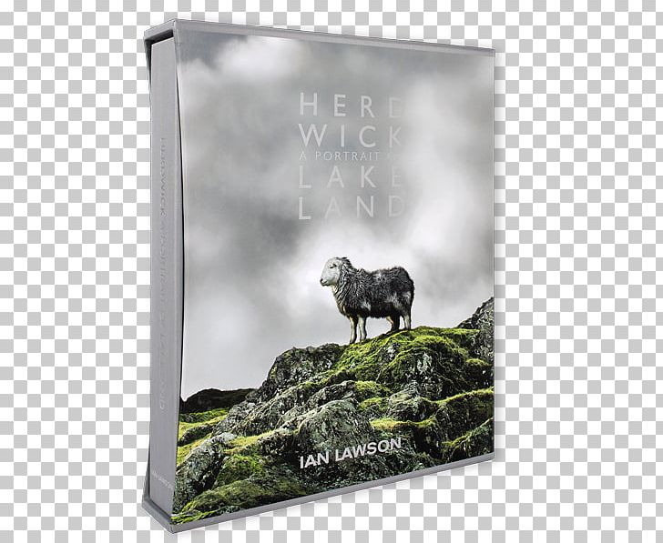 Herdwick Classic Book Book Cover Slipcase PNG, Clipart, Book, Book Cover, Classic Book, Edition, Endpaper Free PNG Download