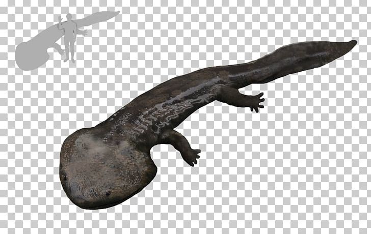 Aptian Amphibian Koolasuchus Cleelandi Leaellynasaura Temnospondyli PNG, Clipart, Amphibian, Animals, Aptian, Cretaceous, Crocodiles Free PNG Download