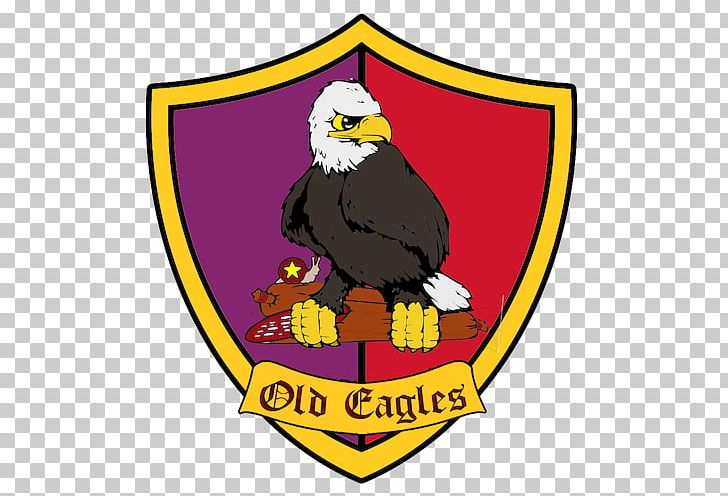 Bald Eagle Beak Logo PNG, Clipart, Animals, Area, Bald Eagle, Beak, Bird Free PNG Download