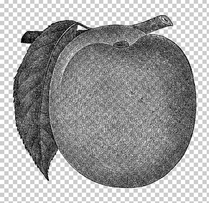 Black And White Fruit PNG, Clipart, Black, Black And White, Digital Image, Fruit, Fruit Nut Free PNG Download