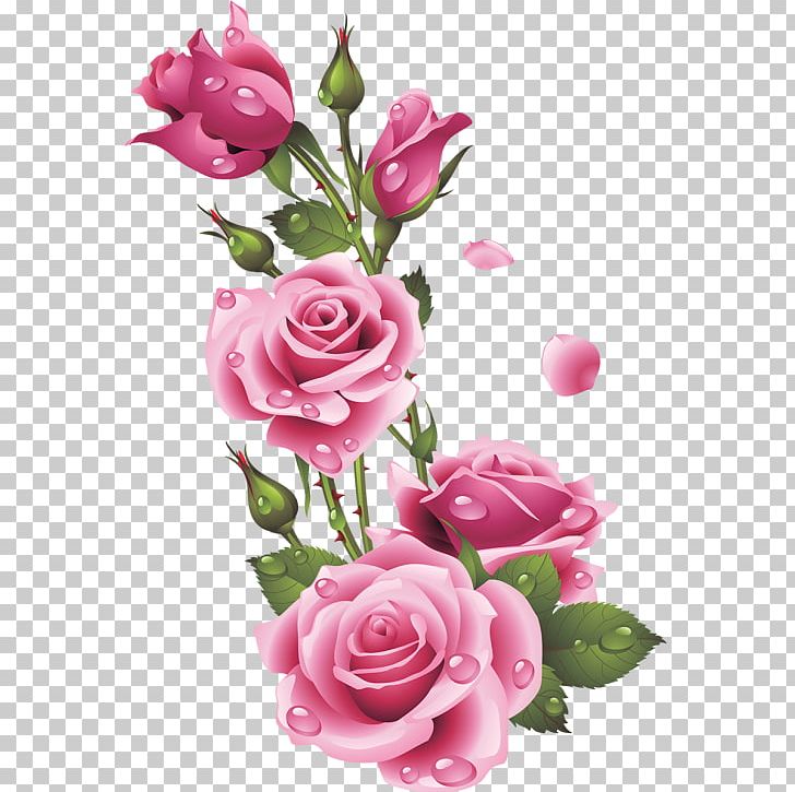 Garden Roses Floral Design Pink Centifolia Roses Flower PNG, Clipart, Art, Artificial Flower, Centifolia Roses, Craft, Crossstitch Free PNG Download