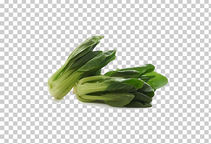 Rapeseed Komatsuna Vegetable Turnip PNG, Clipart, Celery, Choy Sum, Colza Oil, Food, Food Drinks Free PNG Download
