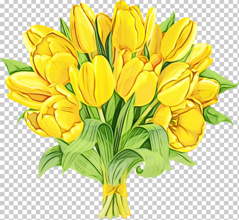 Flower Yellow Cut Flowers Plant Petal PNG, Clipart, Bouquet, Crocus, Cut Flowers, Flower, Lily Family Free PNG Download