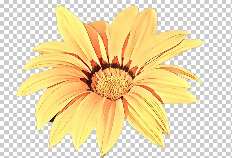 Gerbera Petal Flower Yellow Barberton Daisy PNG, Clipart, African Daisy, Barberton Daisy, Daisy Family, Flower, Gazania Free PNG Download