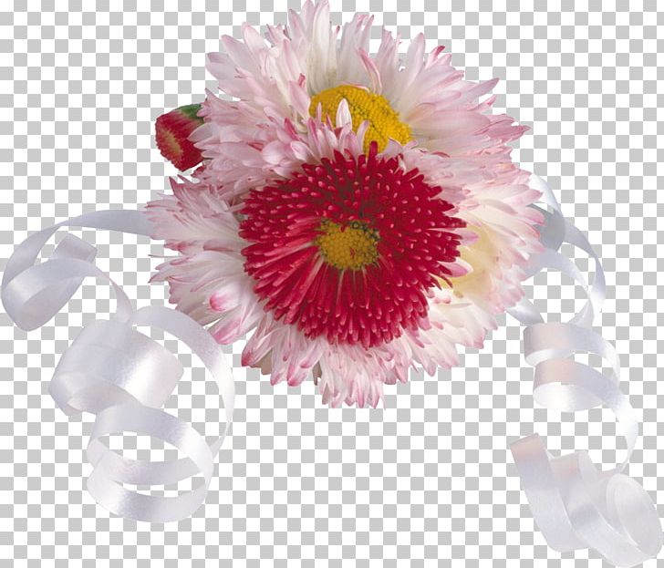 Festival Of The Flowers South Korea Floral Design PNG, Clipart, Chrysanthemum, Chrysanths, Cut Flowers, Daisy, Daisy Family Free PNG Download