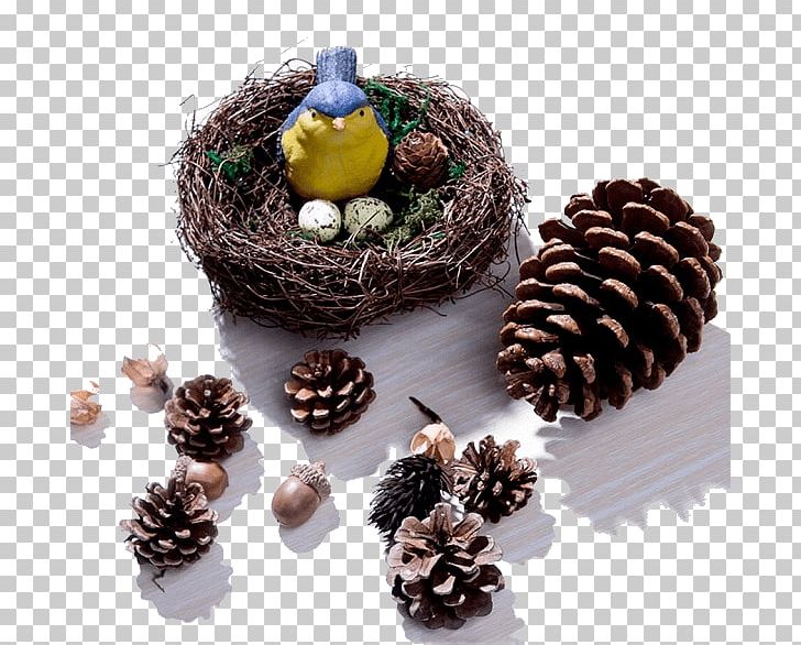 Pine Conifer Cone Autumn Handicraft PNG, Clipart, Autumn, Bomullsvadd, Child, Chocolate, Christmas Ornament Free PNG Download