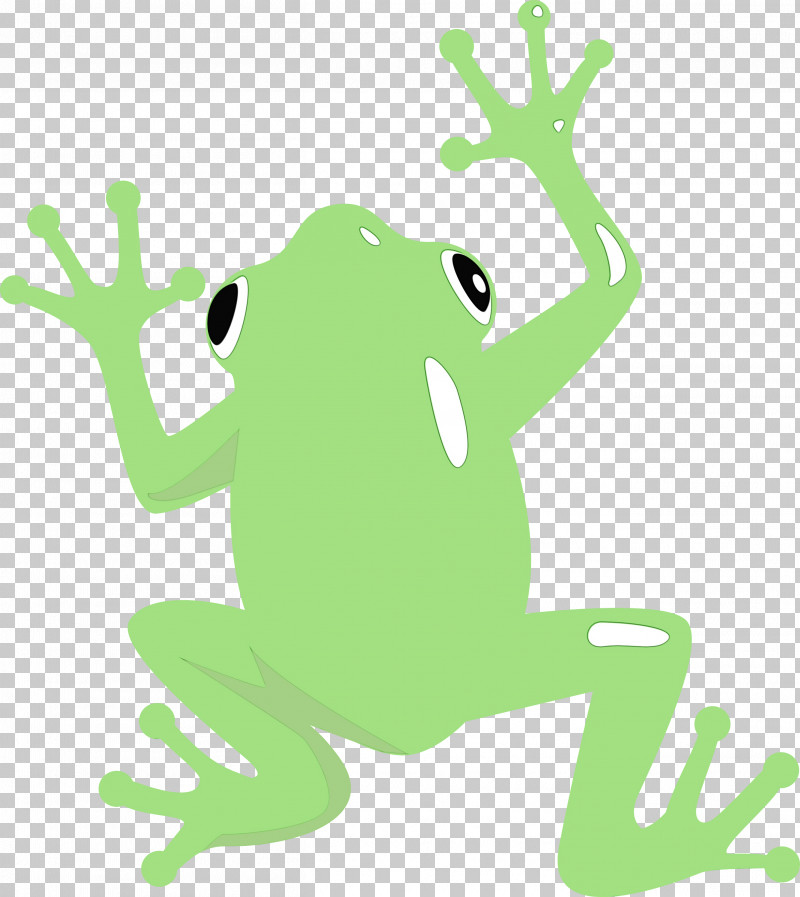 True Frog Tree Frog Frogs Cartoon Toad PNG, Clipart, Cartoon, Frog, Frogs, Line, Meter Free PNG Download