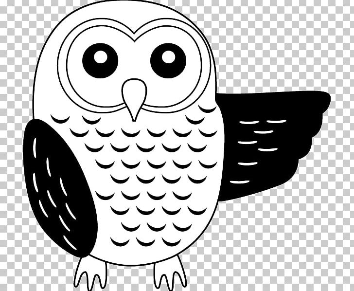 Bird Of Prey Ural Owl Black And White PNG, Clipart, Animal, Animals, Artwork, Beak, Bird Free PNG Download