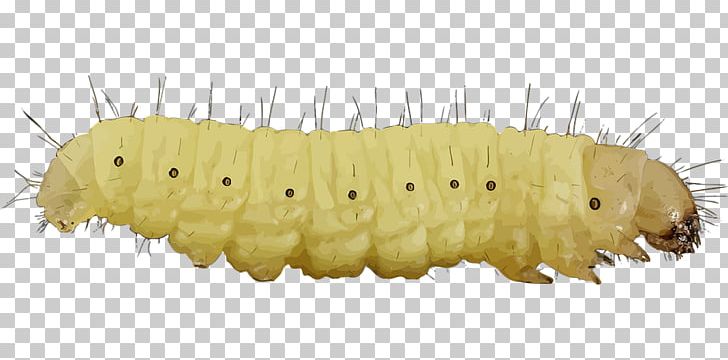 Caterpillar Inc. Portable Network Graphics PNG, Clipart, Animals, Caterpillar, Caterpillar Inc, Caterpillar Insect, Data Free PNG Download