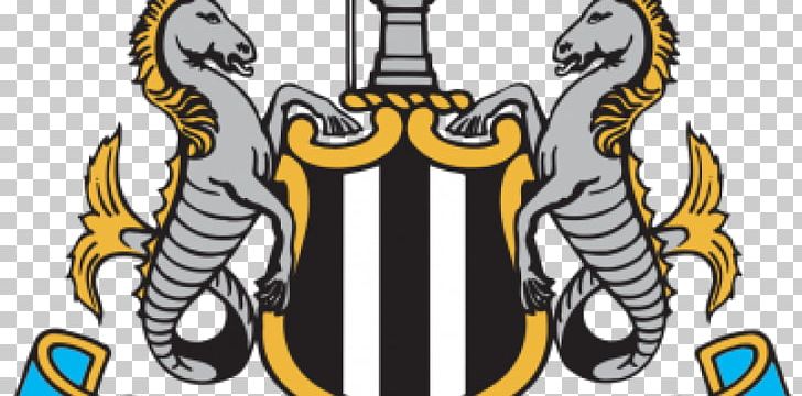 St James' Park Newcastle United F.C. English Football League 2017–18 Premier League Everton F.C. PNG, Clipart,  Free PNG Download