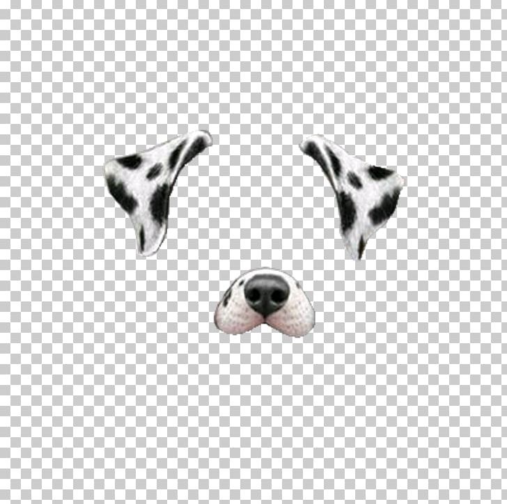 Dalmatian Dog Miniature Schnauzer Snapchat PNG, Clipart, Body Jewelry, Carnivoran, Clip Art, Dalmatian, Dalmatian Dog Free PNG Download