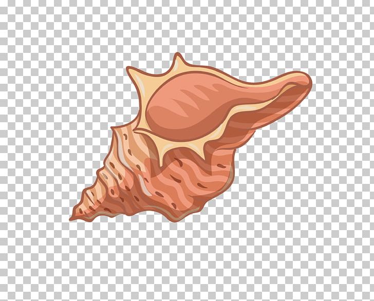 Conch PNG, Clipart, Cartoon Conch, Color, Creative Ads, Creative Artwork, Creative Background Free PNG Download