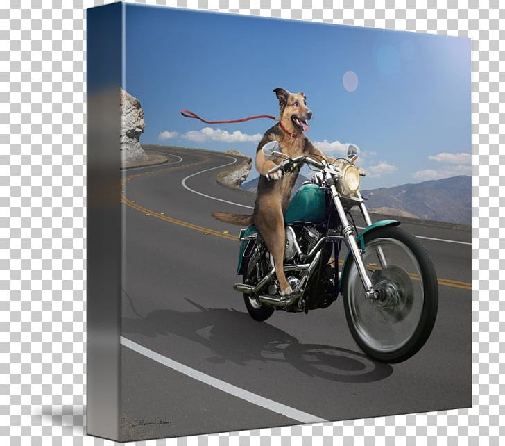 Motorcycle Accessories Motor Vehicle German Shepherd PNG, Clipart, Advertising, Cars, Commercial Vehicle, Computer Wallpaper, Dog Free PNG Download