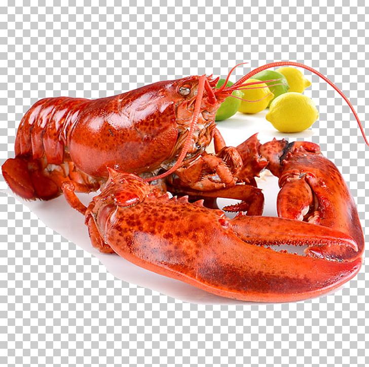 Seafood Palinurus Elephas American Lobster Shrimp Hot Pot PNG, Clipart, Animals, Animal Source Foods, Big Lobster, Boston Lobster, Boston Terrier Free PNG Download