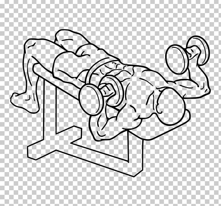 Bench Press Dumbbell Exercise Fly PNG, Clipart, Angle, Barbell, Bench, Bench, Black Free PNG Download