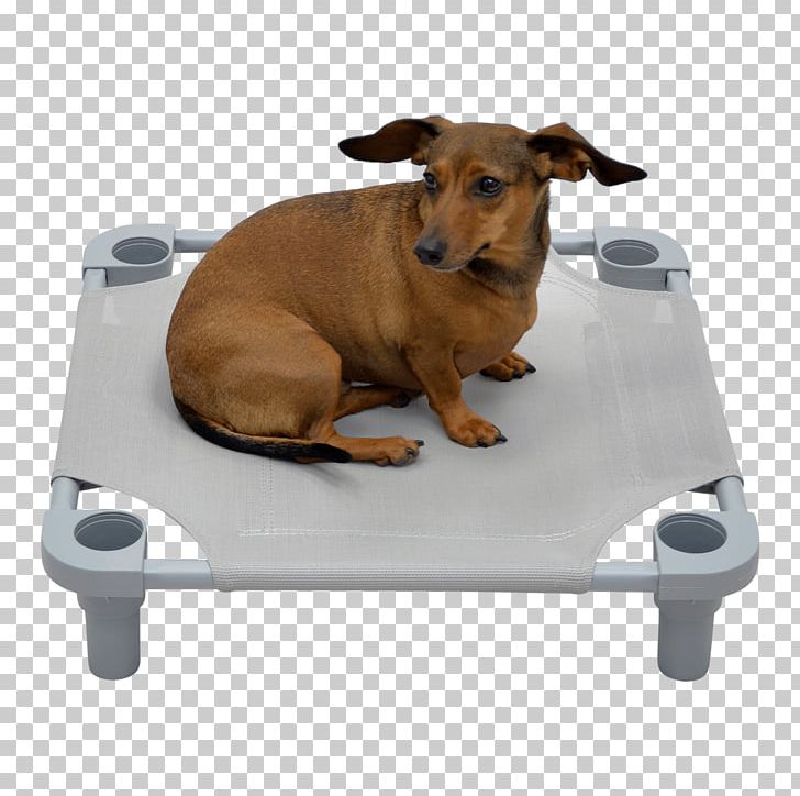 Dog Breed Puppy Snout Bed PNG, Clipart, Bed, Breed, Dog, Dog Bed, Dog Breed Free PNG Download
