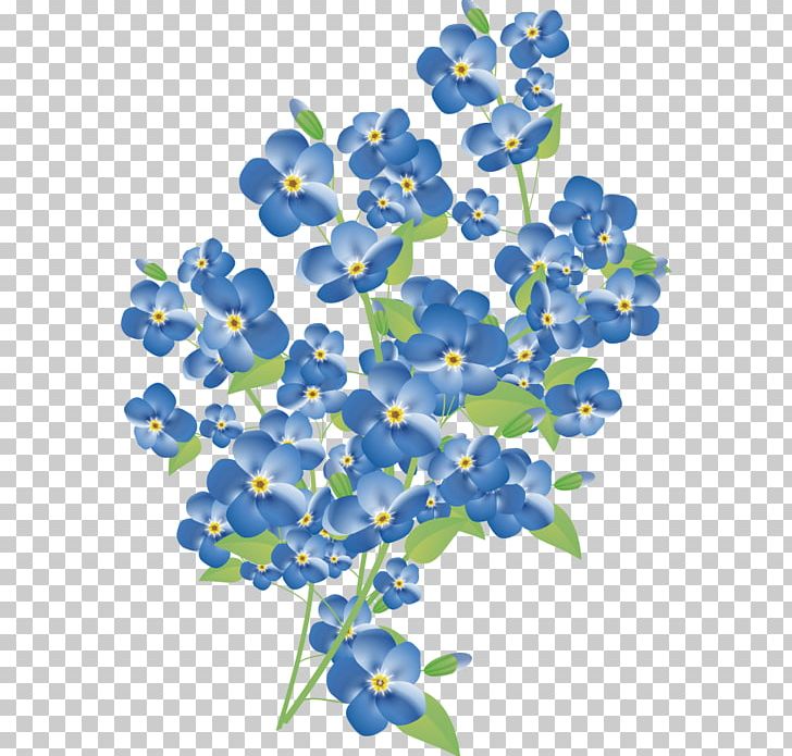 Flower Myosotis Stricta Watercolor Painting PNG, Clipart, Blue, Bluebonnet, Borage Family, Branch, Cut Flowers Free PNG Download