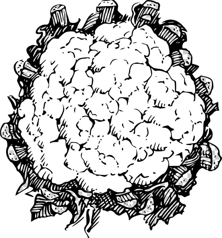 Cauliflower Line Art Vegetable PNG, Clipart, Artwork, Black And White, Cauliflower, Circle, Download Free PNG Download