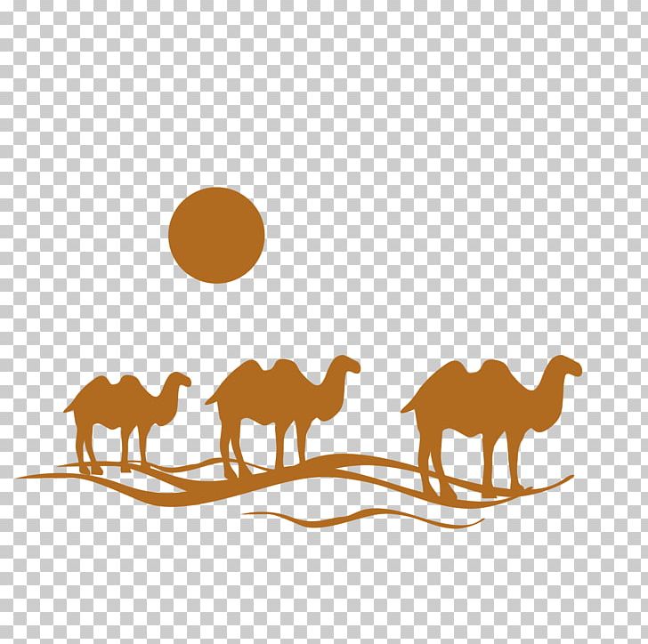 Flight Travel Agent Logo PNG, Clipart, Animal, Animals, Area, Camel Like Mammal, Camels Free PNG Download