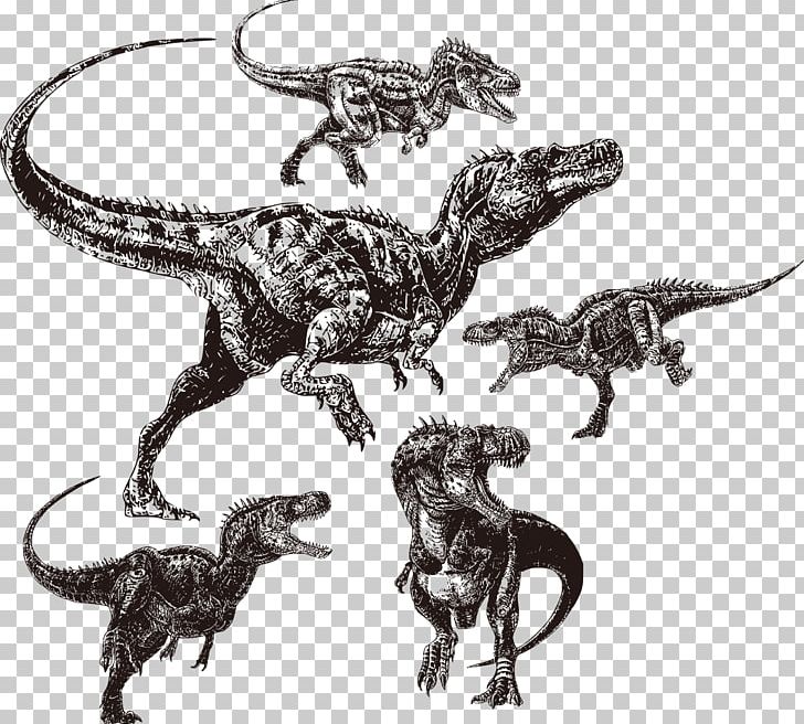 Velociraptor Tyrannosaurus Alectrosaurus Afrovenator Utahraptor PNG, Clipart, Black, Black Vector, Dinosaur, Dinosaurs Vector, Euclidean Free PNG Download