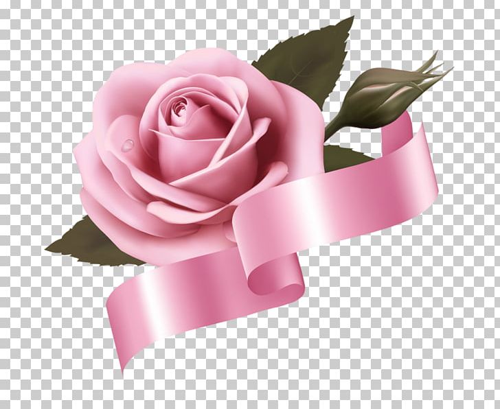 Garden Roses Cabbage Rose Pink Cut Flowers PNG, Clipart, Beach Rose, China Rose, Cut Flowers, Floral Design, Floristry Free PNG Download