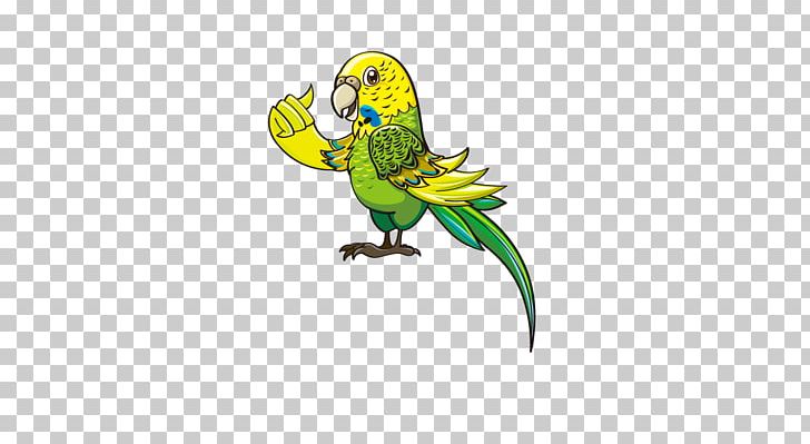 Macaw Character Animation PNG, Clipart, Animals, Awesome, Bird, Cartoon, Cartoon Characters Free PNG Download