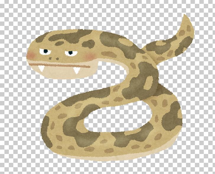 Snake Venom Habu Venomous Snake Okinawa Prefecture PNG, Clipart, Animals, Boa Constrictor, Boas, D 8, Ded Free PNG Download