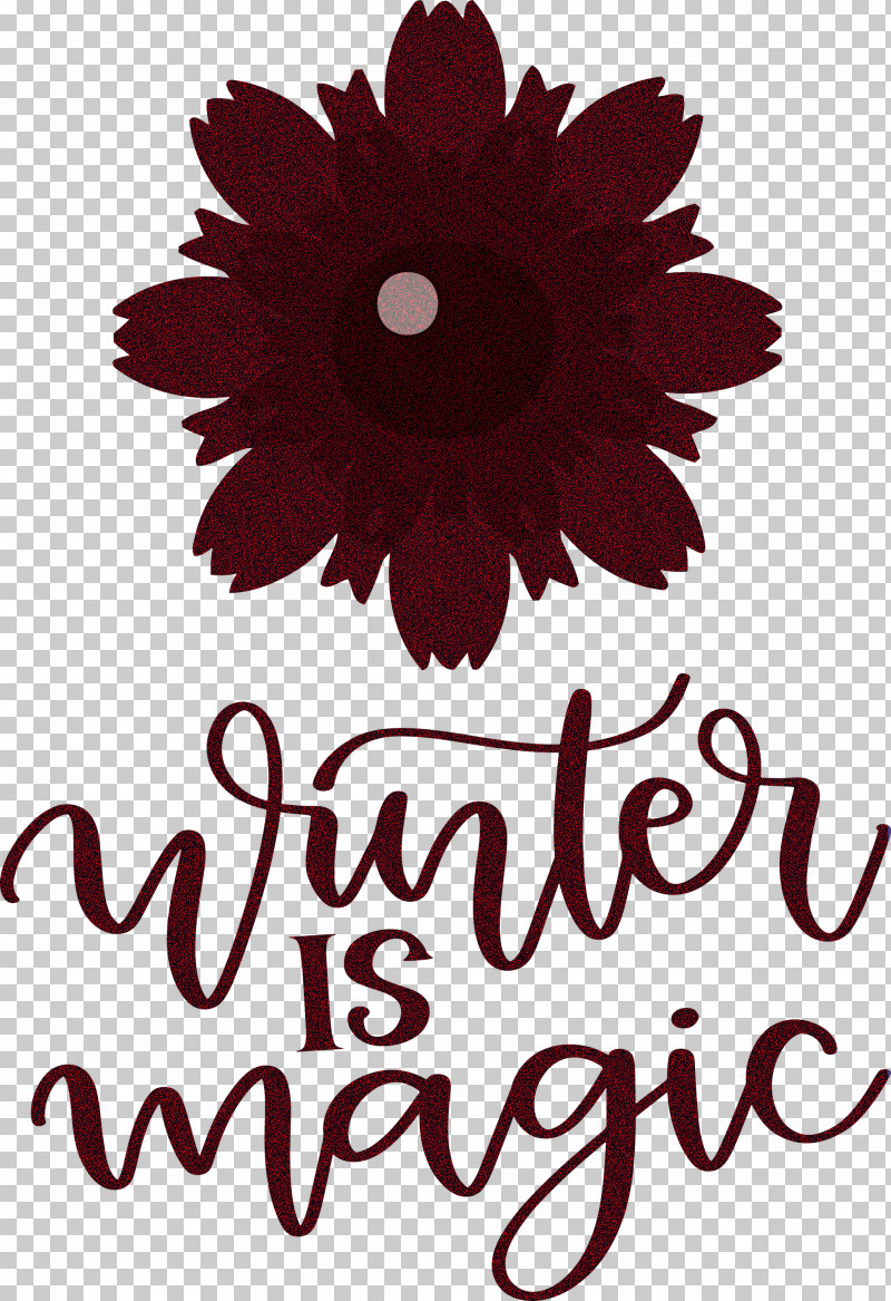 Winter Is Magic Hello Winter Winter PNG, Clipart, Biology, Common Daisy, Cut Flowers, Daisy Family, Family Free PNG Download