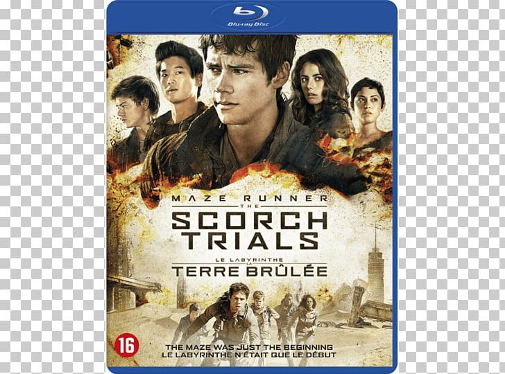 Dylan O'Brien Maze Runner: The Scorch Trials Blu-ray Disc Amazon.com PNG, Clipart,  Free PNG Download