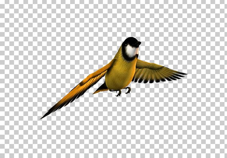 Finch Bird Computer Icons PNG, Clipart, Animals, Beak, Bird, Button, Chickadee Free PNG Download