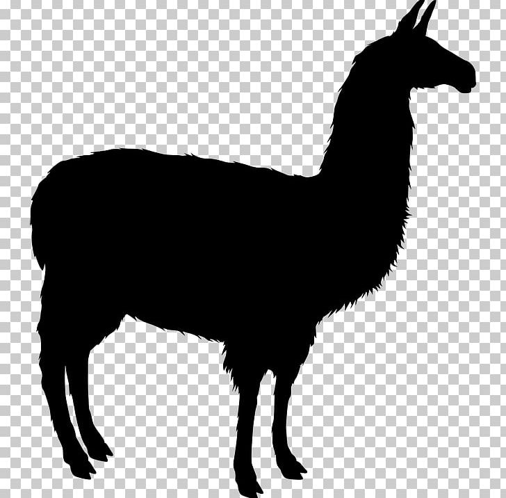 Llama Alpaca Silhouette PNG, Clipart, Alpaca, Animals, Animation, Art, Black And White Free PNG Download