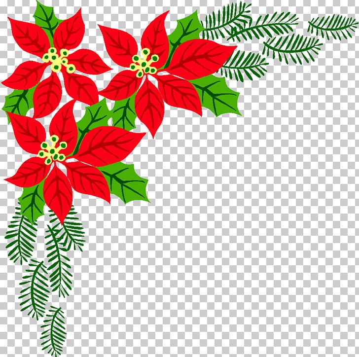 Poinsettia Christmas Flower PNG, Clipart, Branch, Christmas, Christmas Decoration, Christmas Ornament, Conifer Free PNG Download