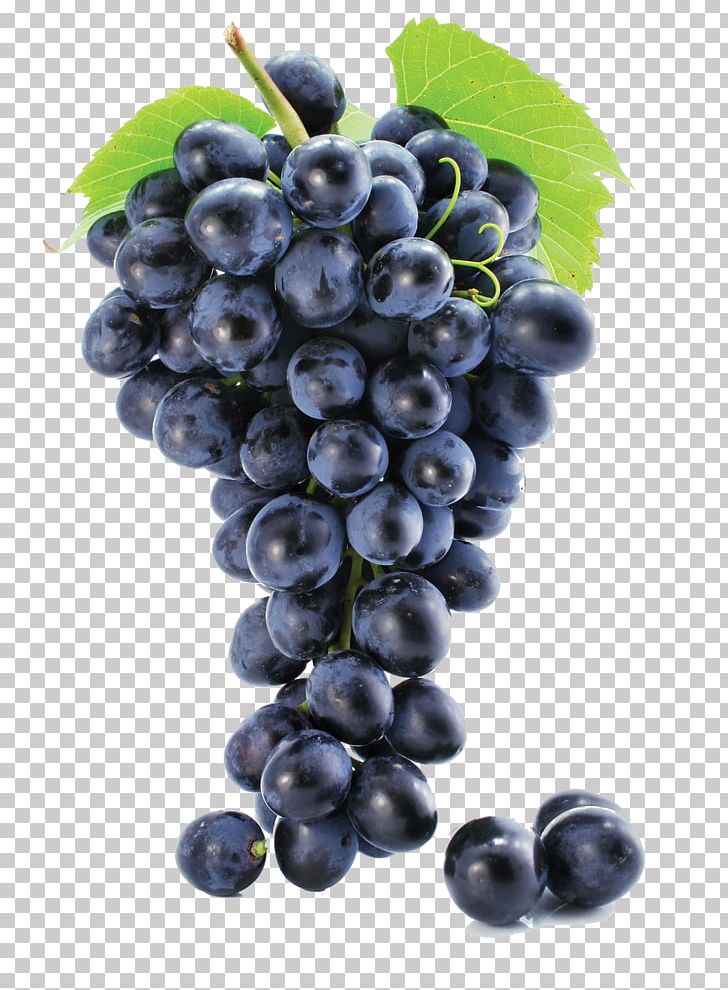 Juice Wine Common Grape Vine Must PNG, Clipart, Berry, Bilberry, Blueberry, Carrier Oil, Food Free PNG Download