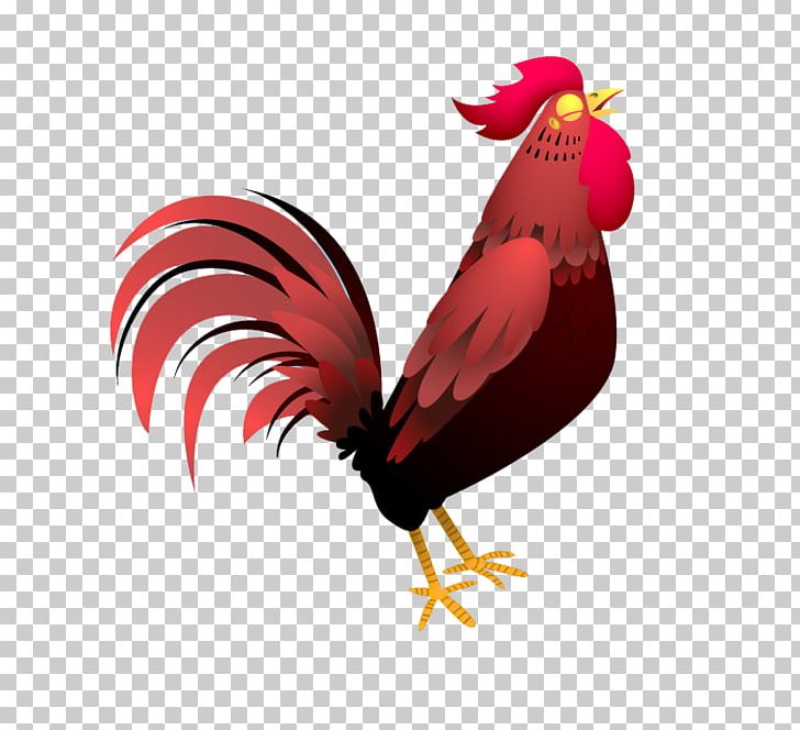 Rooster Chicken Drawing Cartoon PNG, Clipart, Animals, Balloon Cartoon,  Beak, Bird, Boy Cartoon Free PNG Download