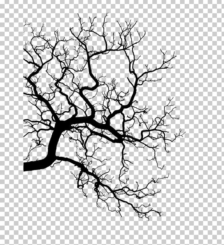 Twig Silhouette Drawing Line Art PNG, Clipart, Animals, Black, Black And White, Blue, Branch Free PNG Download