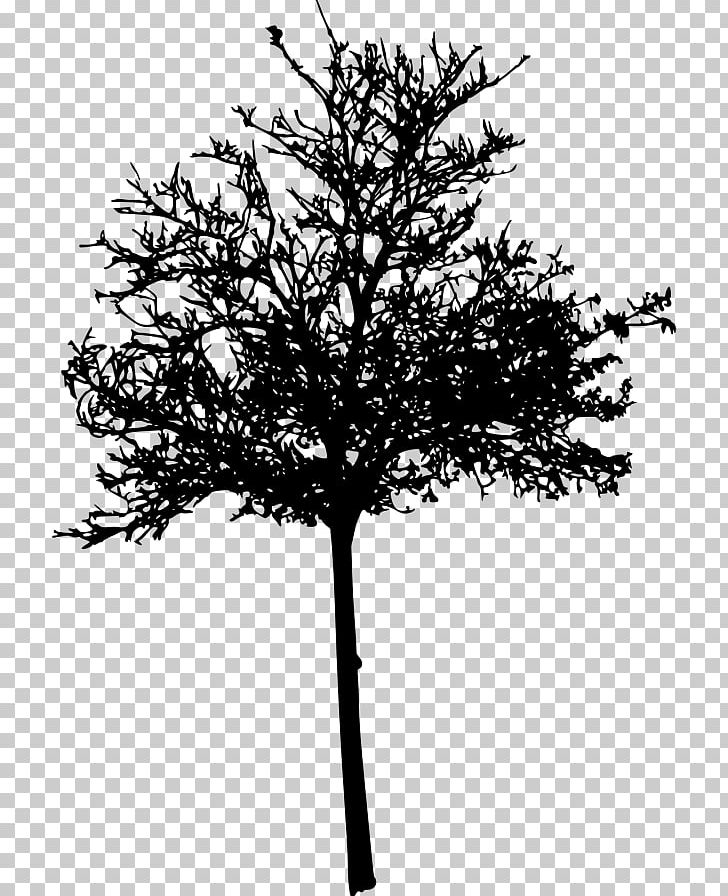 Twig Silhouette Management PNG, Clipart, Animals, Black And White, Branch, Business, Business Coaching Free PNG Download