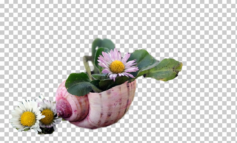 Flower Flowerpot PNG, Clipart, Flower, Flowerpot Free PNG Download