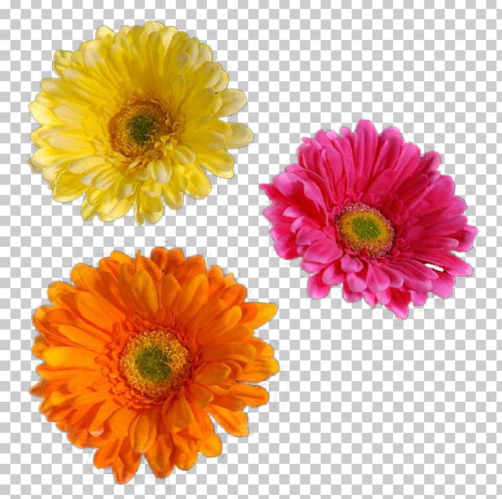 Flores (Flowers) PNG, Clipart, Animation, Annual Plant, Calendula, Chrysanths, Clip Art Free PNG Download