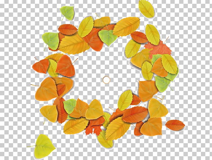 Maple Leaf Circle Autumn PNG, Clipart, Autumn Leaves, Autumn Tree, Autumn Vector, Border, Circle Free PNG Download