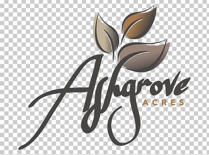 Ashgrove Acres R0A 1E0 SUMMER BOUNCE ENTERTAINMENT Logo Wedding PNG, Clipart, Brand, Event Management, Flower, Green Acres Rental, Logo Free PNG Download