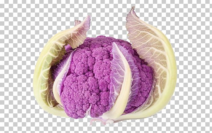 Cauliflower Stock Photography Purple PNG, Clipart, Banana Leaves, Broccoflower, Broccoli, Cabbage, Fall Leaves Free PNG Download